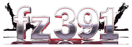 fz 391 logo
